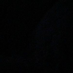 Meet your Posher, Shane